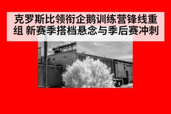克罗斯比领衔企鹅训练营锋线重组 新赛季搭档悬念与季后赛冲刺